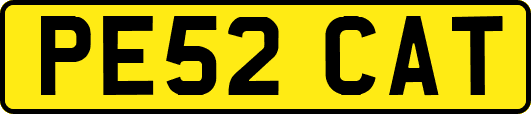 PE52CAT