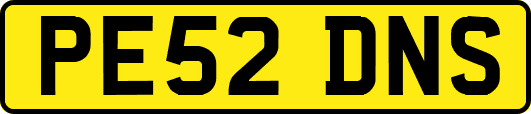 PE52DNS