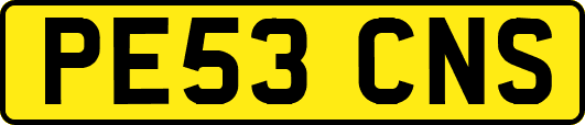 PE53CNS