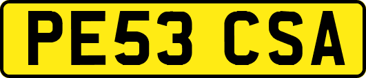 PE53CSA