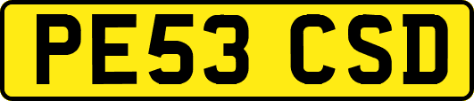 PE53CSD