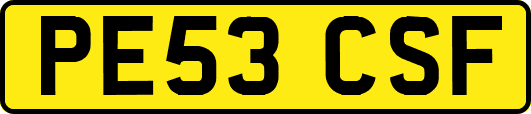 PE53CSF