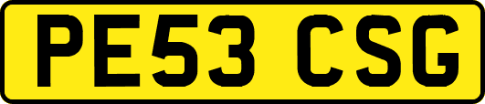 PE53CSG