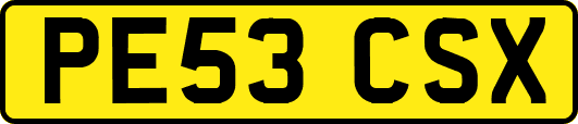 PE53CSX
