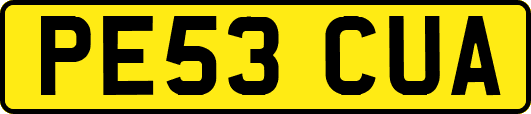 PE53CUA