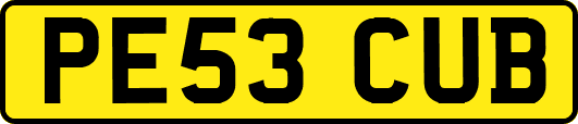 PE53CUB