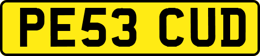 PE53CUD