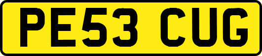 PE53CUG