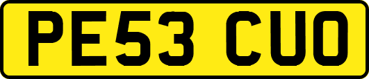 PE53CUO