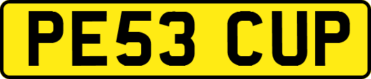 PE53CUP