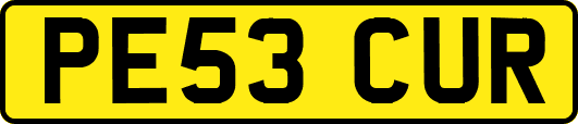PE53CUR