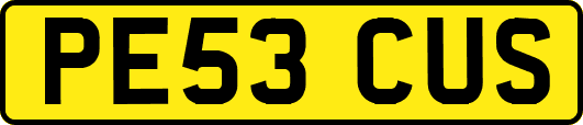 PE53CUS