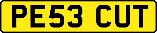 PE53CUT