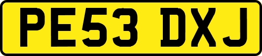 PE53DXJ