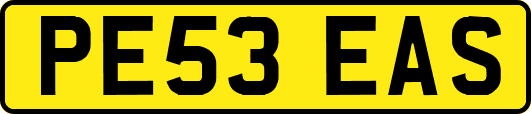 PE53EAS