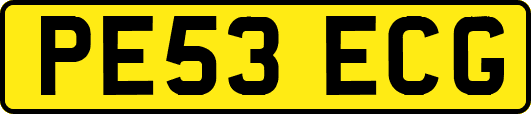 PE53ECG