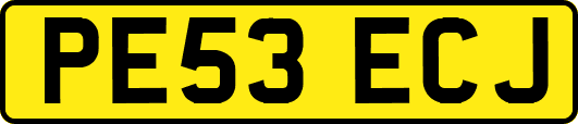 PE53ECJ