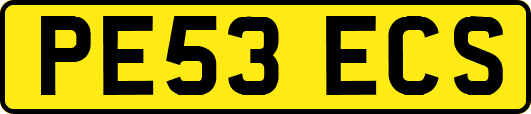 PE53ECS