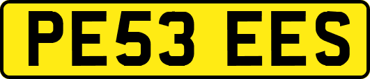 PE53EES