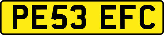 PE53EFC
