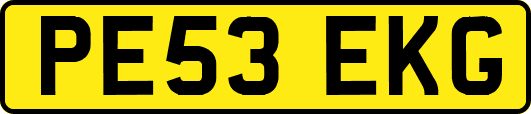 PE53EKG