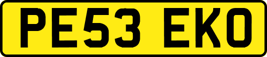 PE53EKO