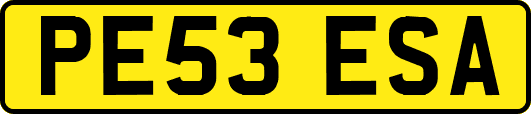 PE53ESA