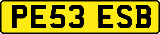 PE53ESB