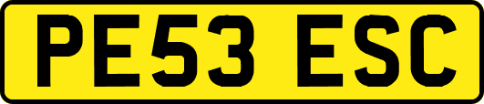 PE53ESC