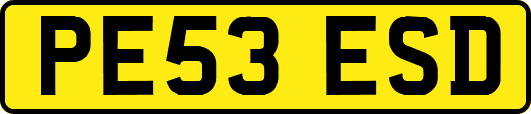 PE53ESD