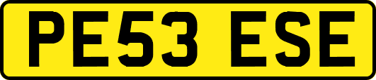 PE53ESE
