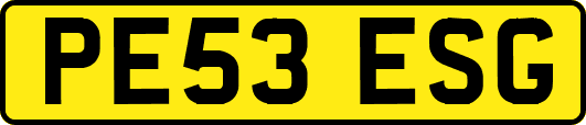 PE53ESG