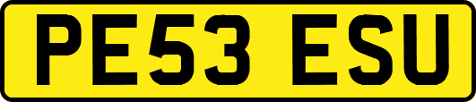 PE53ESU