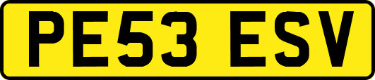 PE53ESV