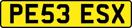 PE53ESX