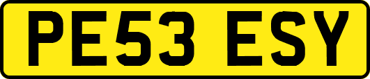 PE53ESY
