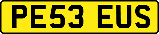 PE53EUS