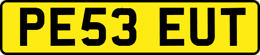PE53EUT