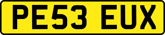 PE53EUX