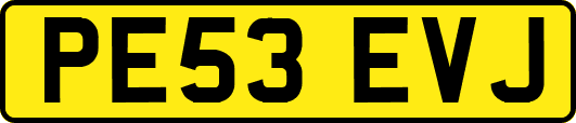 PE53EVJ