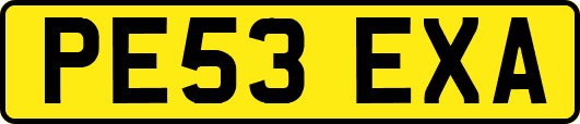 PE53EXA