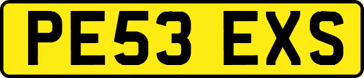 PE53EXS