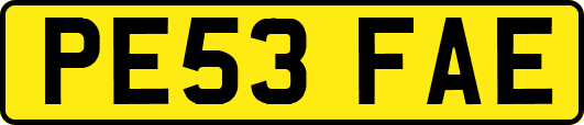 PE53FAE