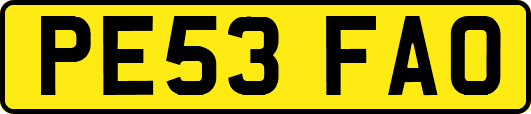 PE53FAO