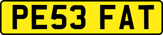 PE53FAT