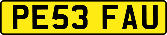 PE53FAU