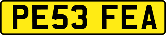 PE53FEA