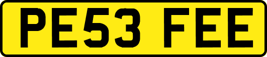 PE53FEE