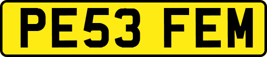 PE53FEM
