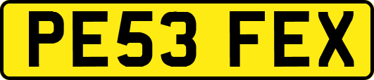 PE53FEX